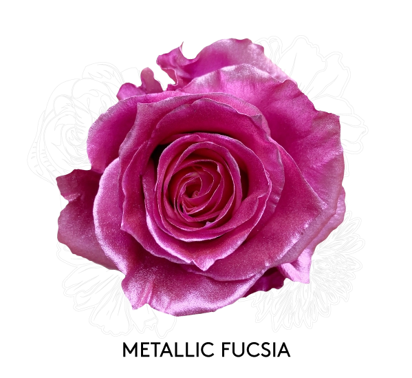 METALLIC FUCSIA