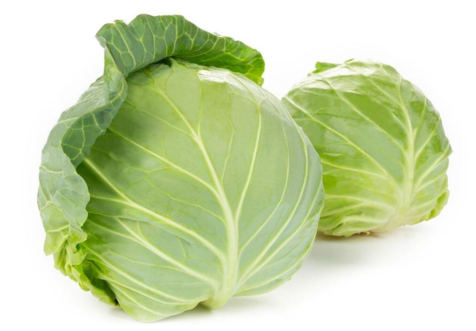 GREEN CABAGE 