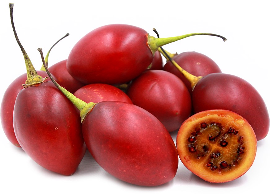 TREE TOMATOES 