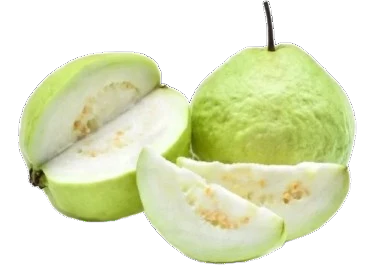THAI GUAVA 