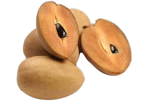 NISPERO / SAPODILLA