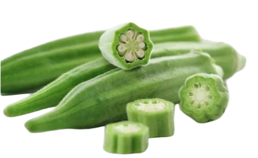 AMERICAN OKRA