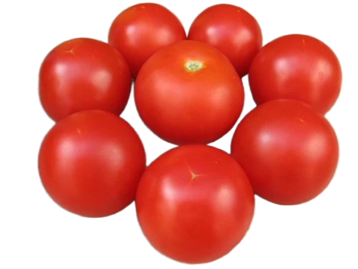 TOMATO BOLA (GLOBE TOMATO)