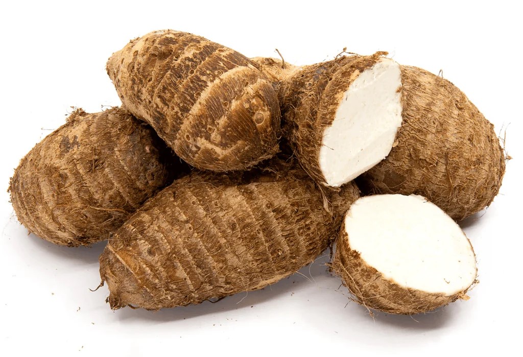 MALANGA EDDO