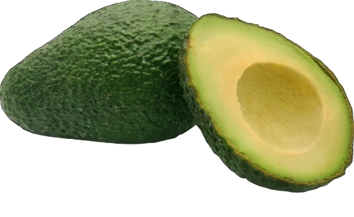 HASS AVOCADO 