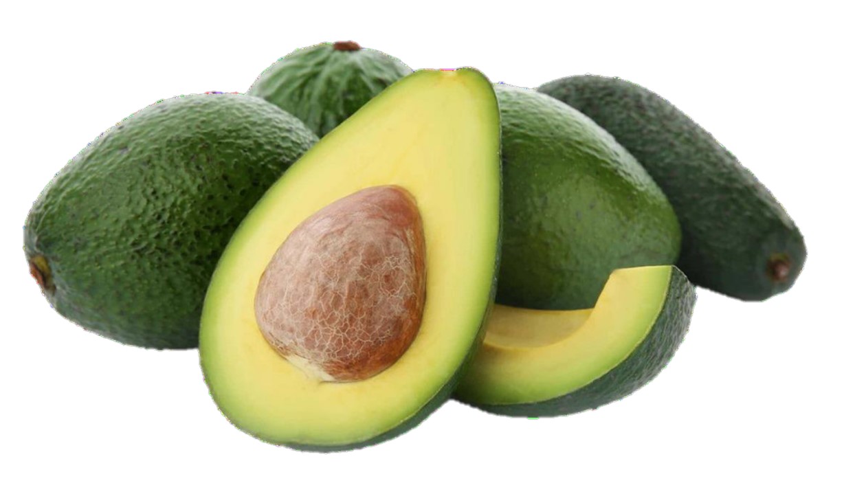 HASS AVOCADO 