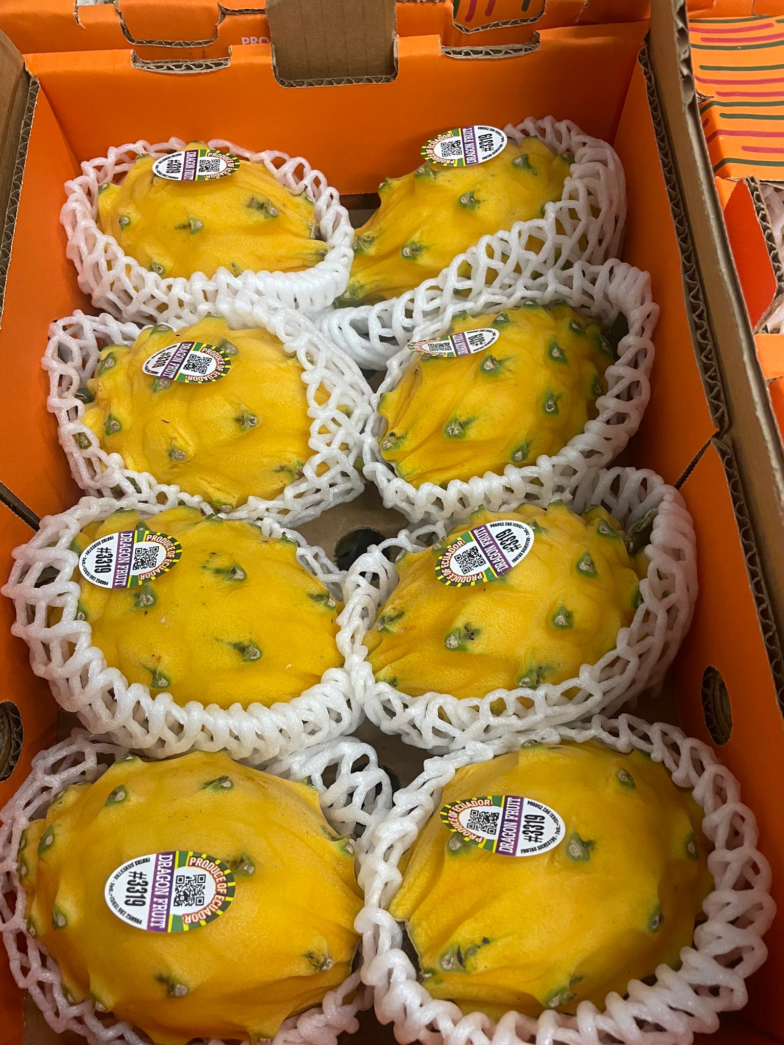 YELLOW DRAGON FRUIT 