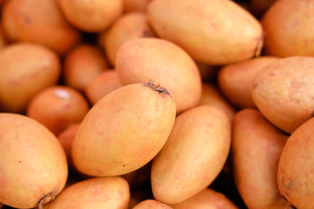 NISPERO / SAPODILLA