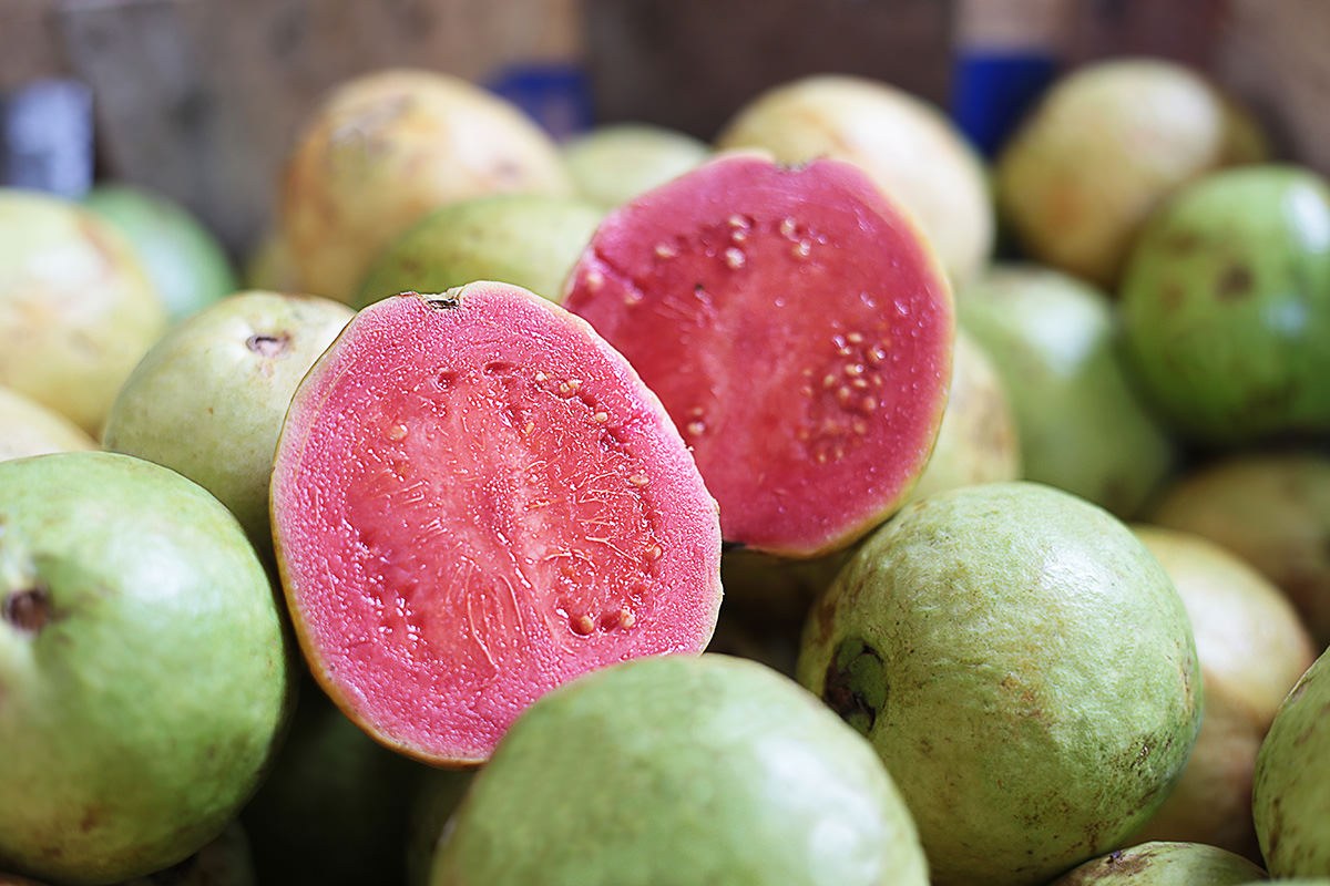 PINK GUAVA 