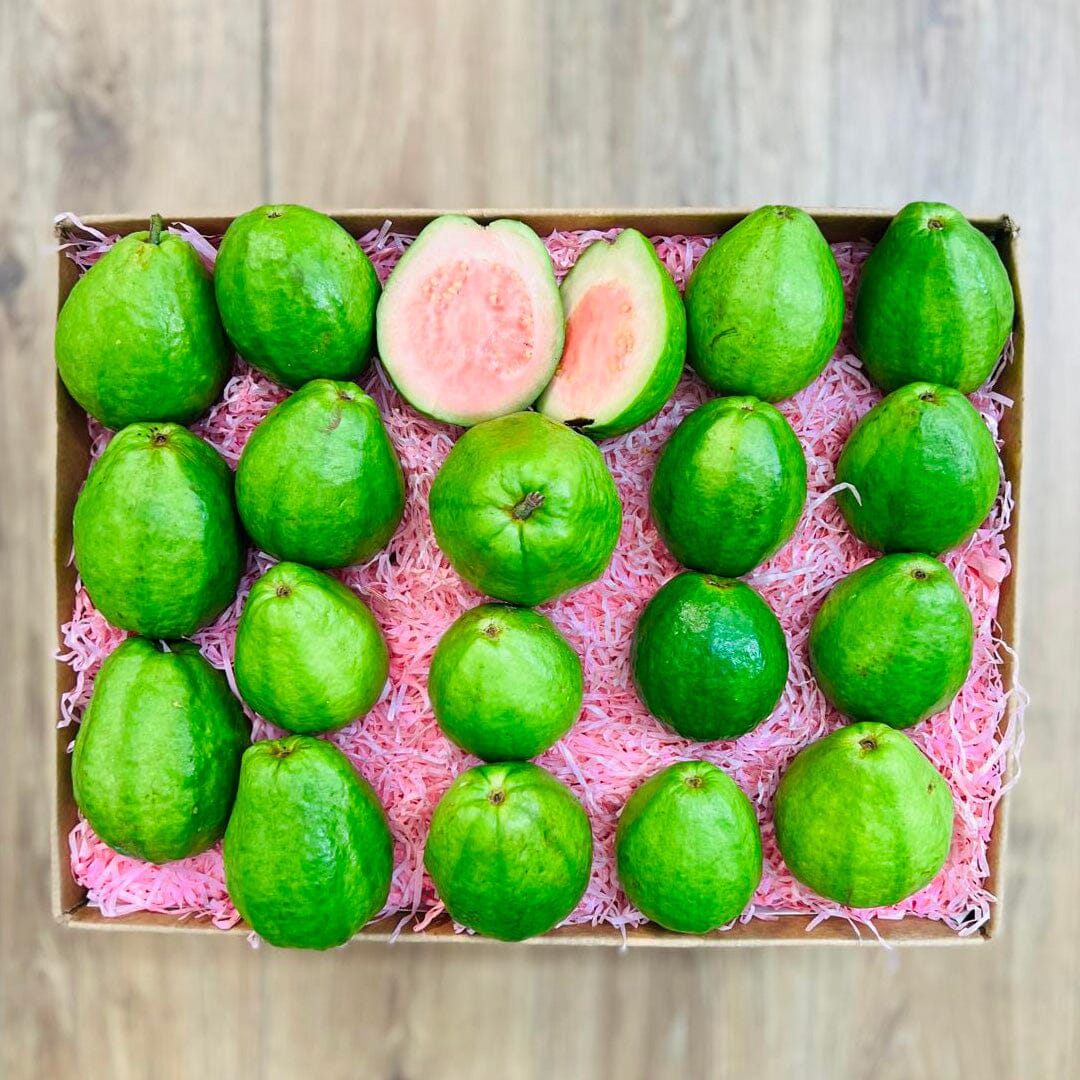PINK GUAVA 