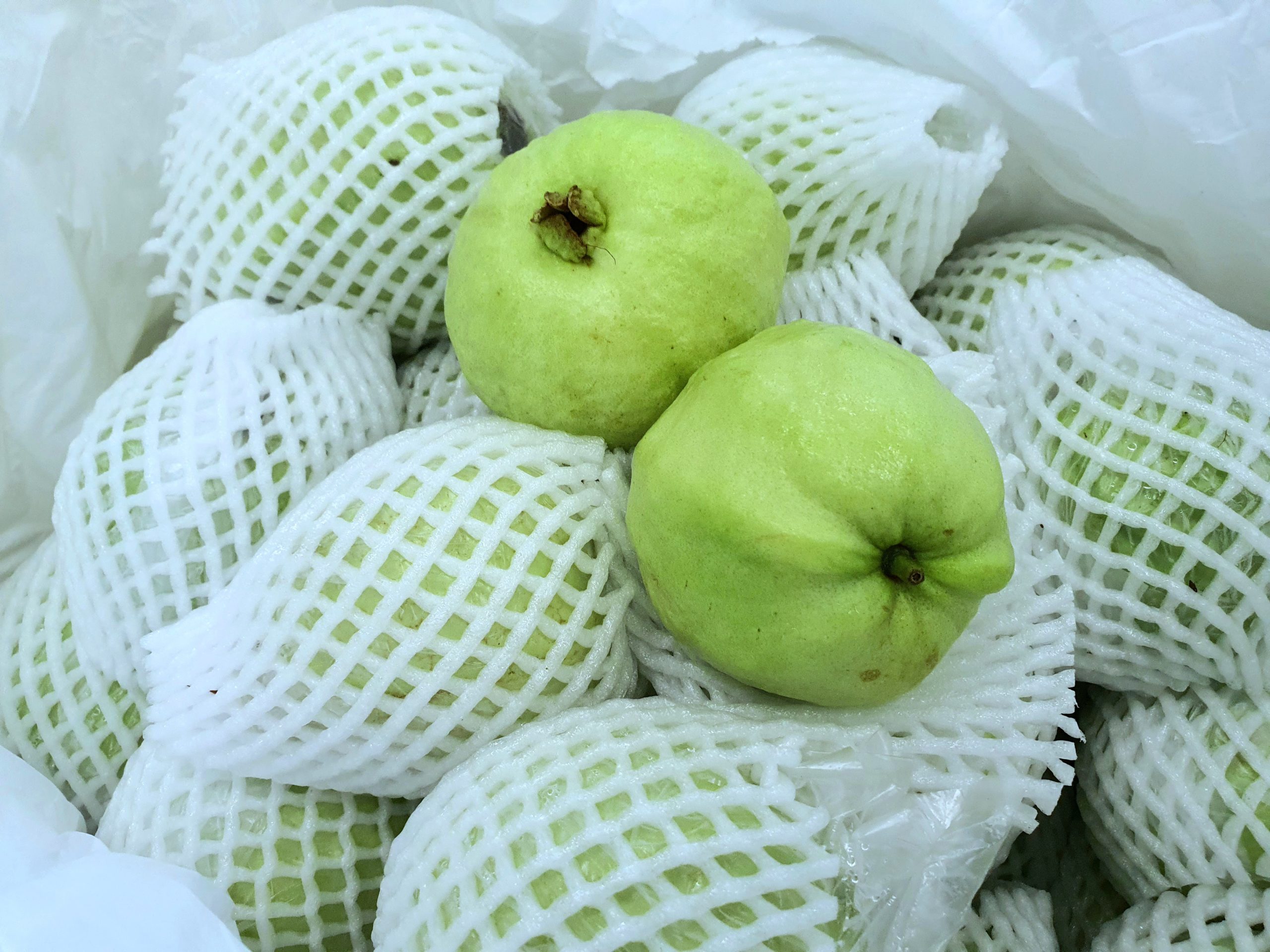 THAI GUAVA 