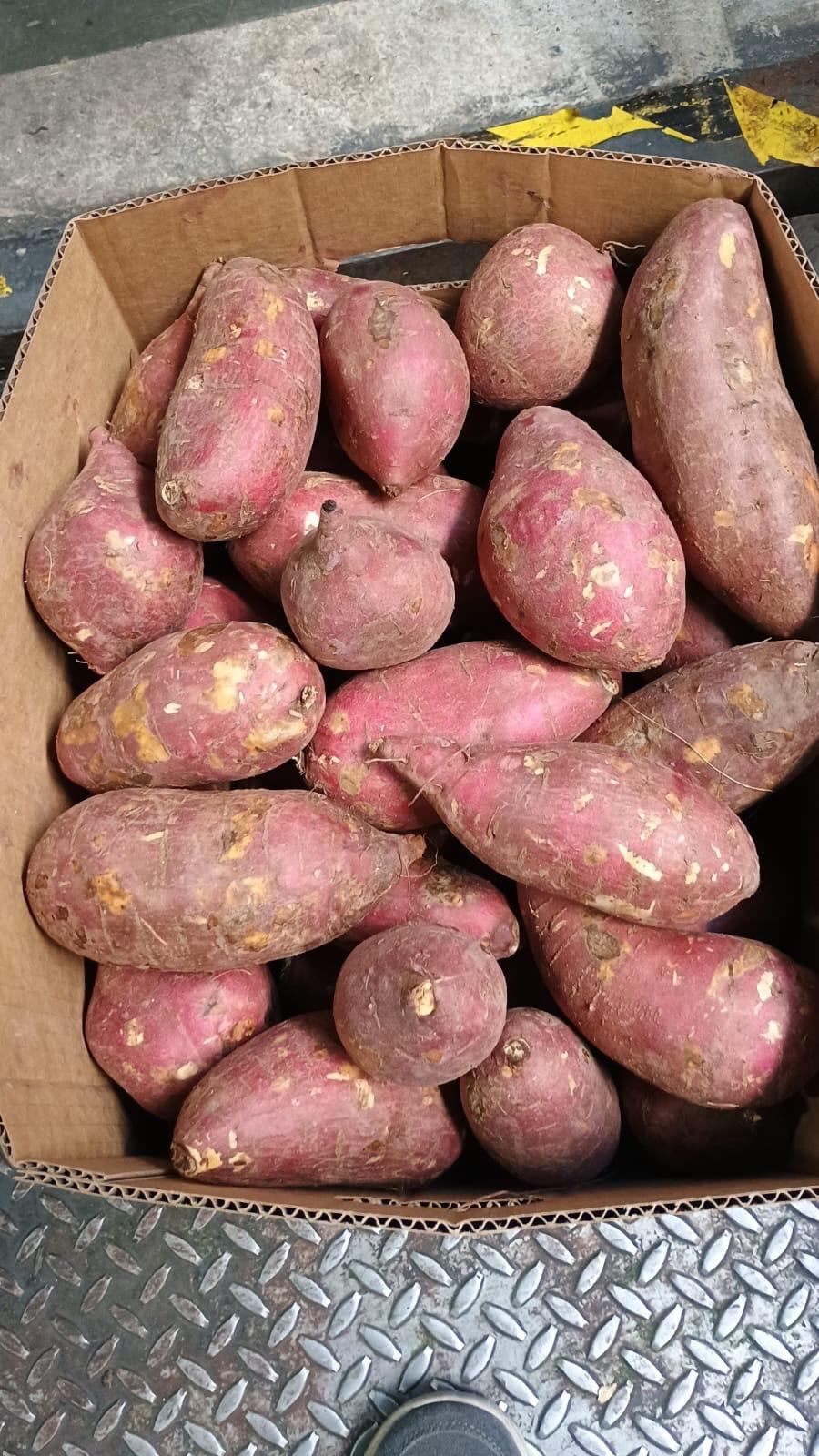 KOREAN BATATA 