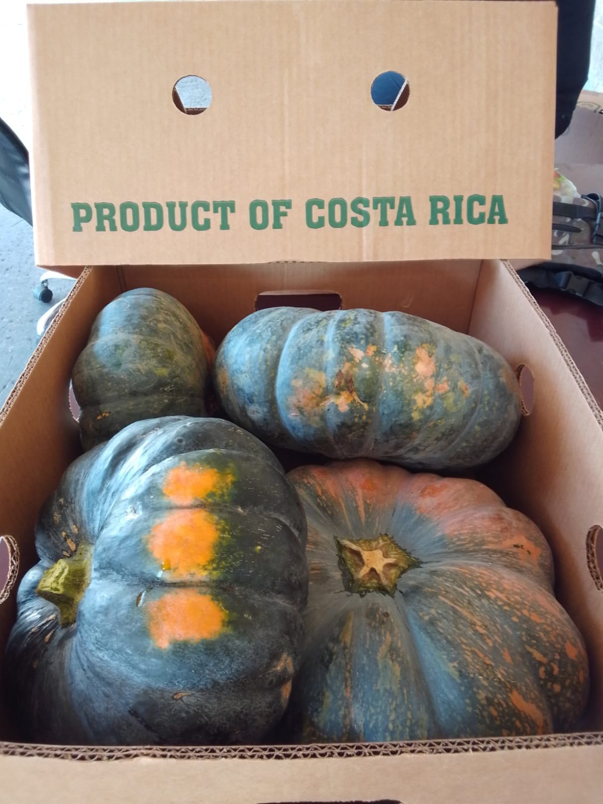 CALABAZA (CARIBBEAN PUMPKIN)