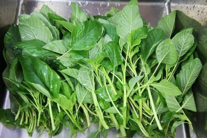 JAMAICAN CALALOO