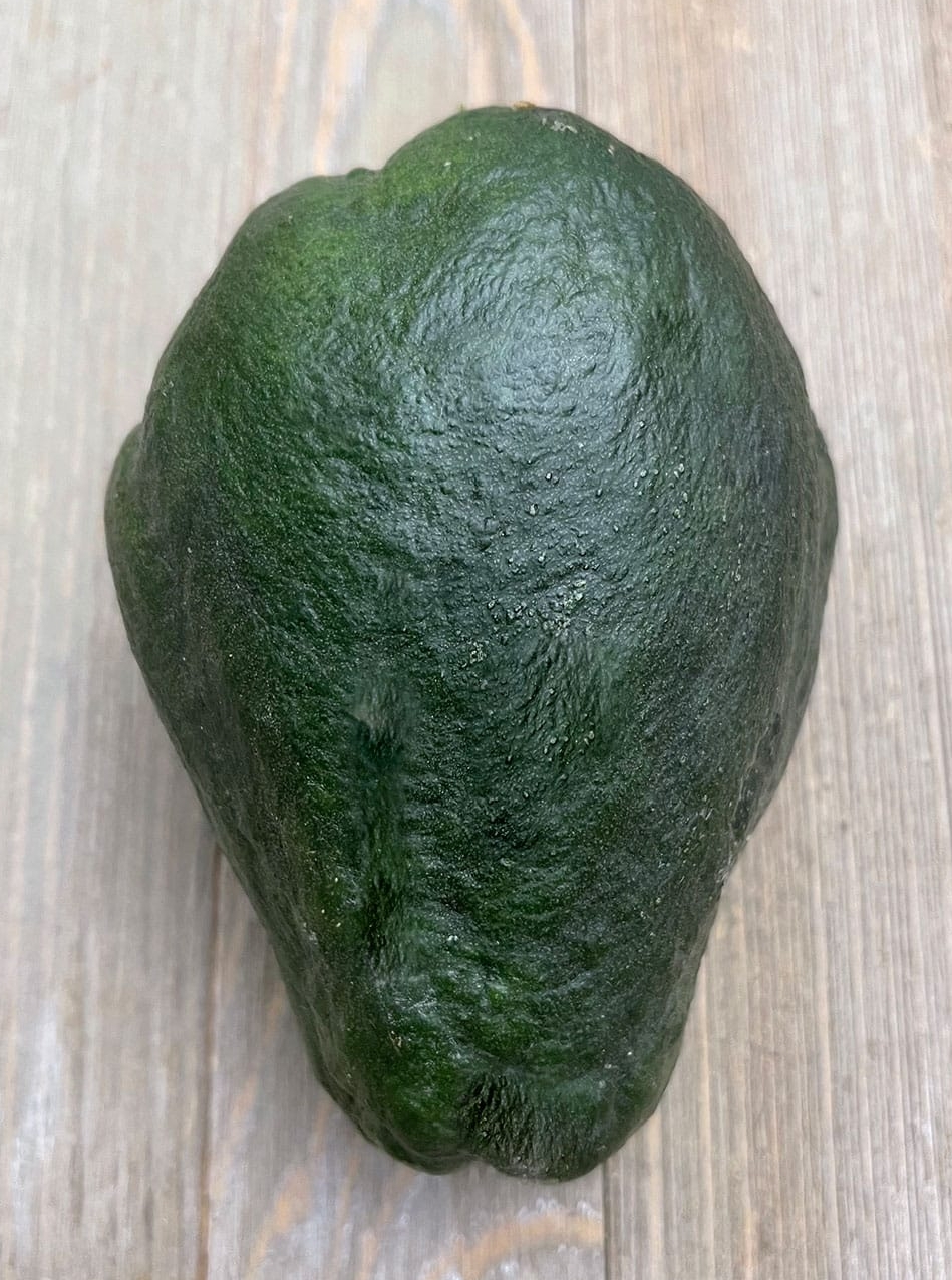 BLACK CHAYOTE