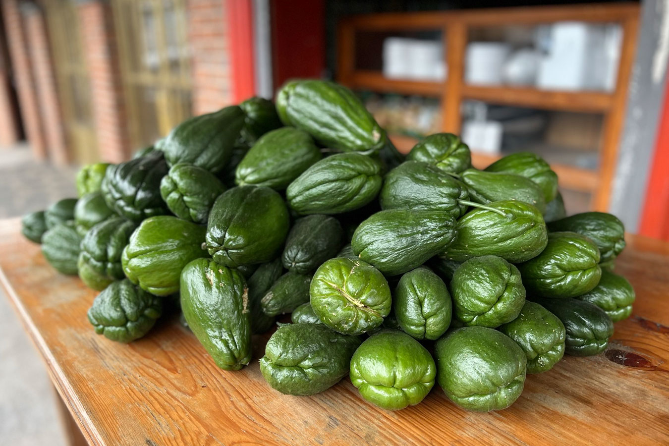 BLACK CHAYOTE