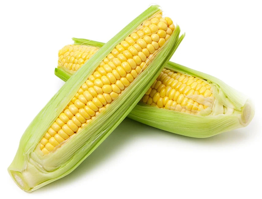 SWEET YELLOW CORN