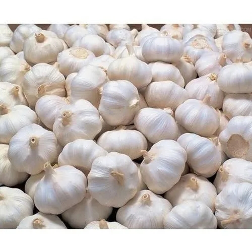 LOOSE GARLIC  