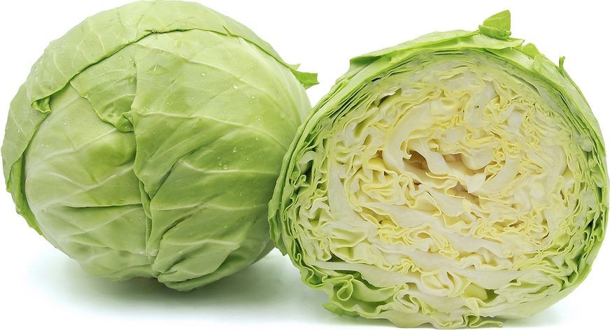 GREEN CABAGE 