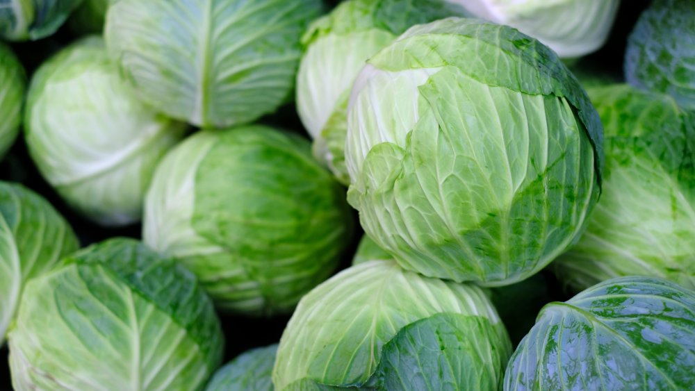 GREEN CABAGE 