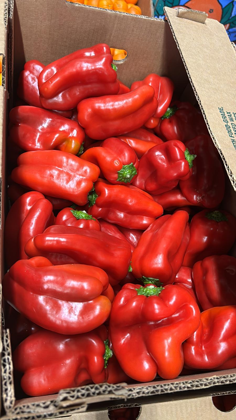 RED BELL PEPPER 