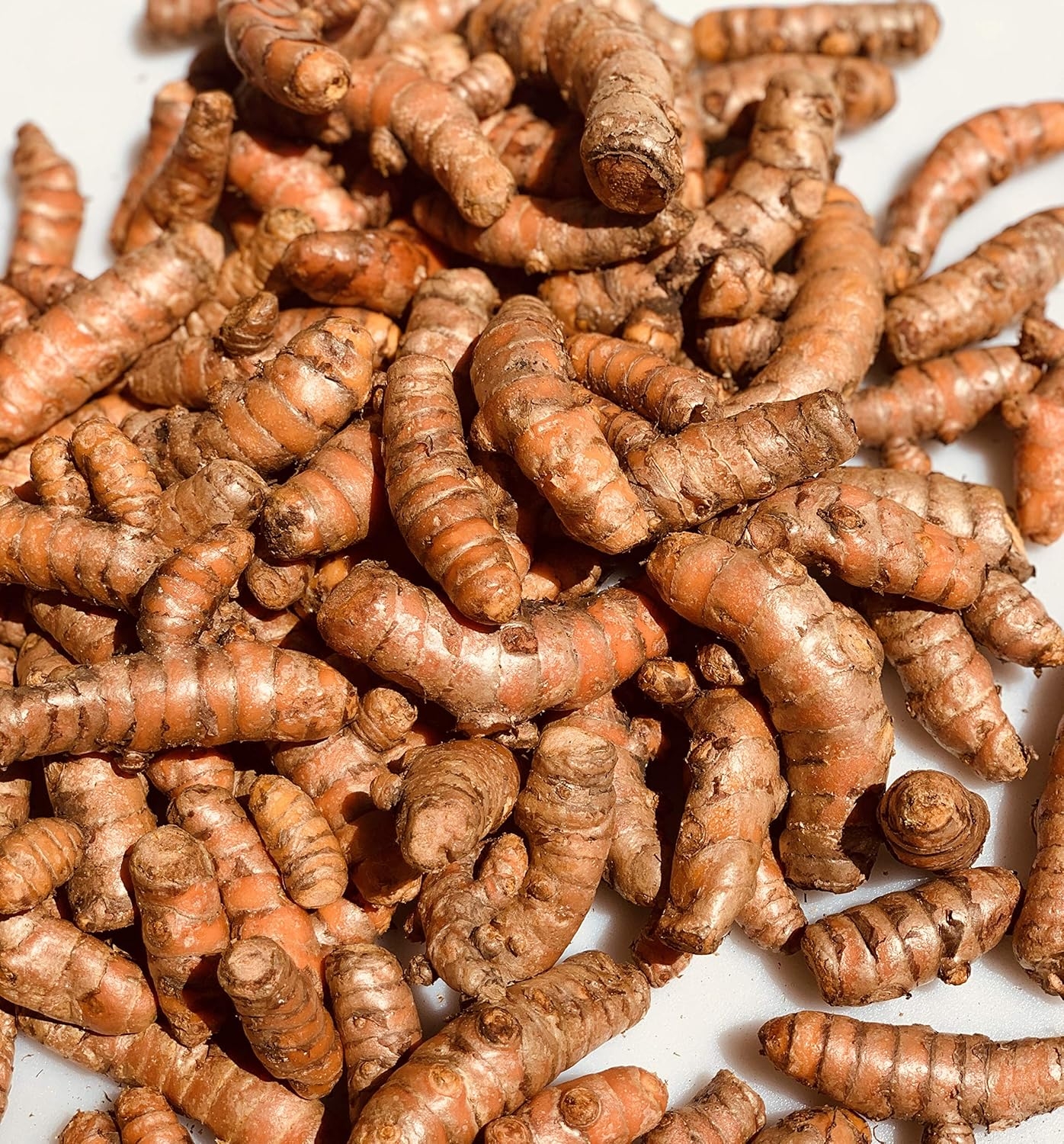 YELLOW TURMERIC 