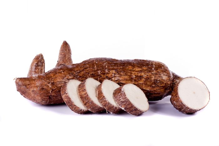 YUCA ROOT