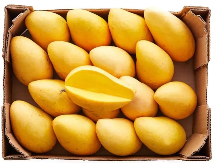 MANGO ATAULFO (HONEY MANGO)