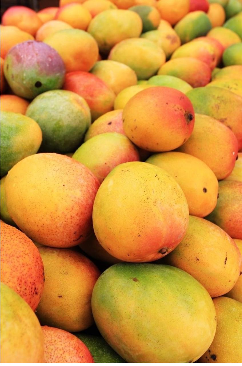 SUGAR MANGO (MANGO DE AZUCAR)