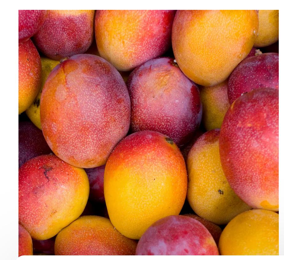 MANGO HADEN