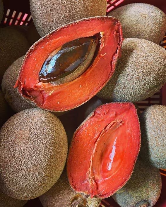 MAMEY
