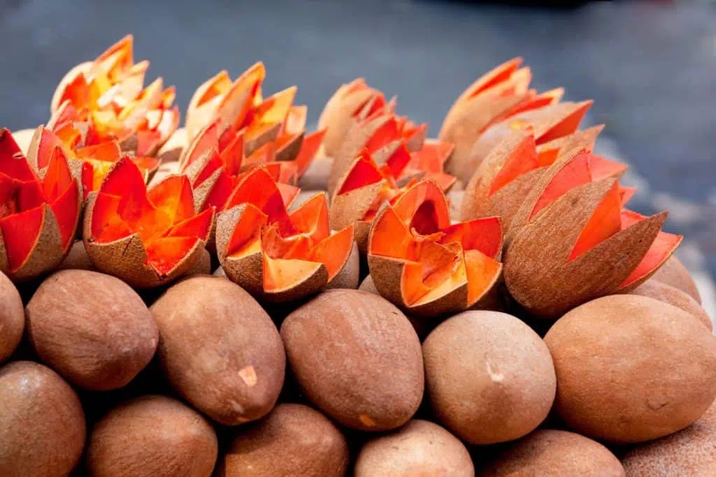 MAMEY