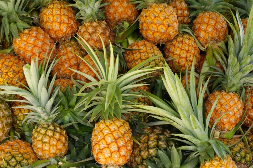 PINEAPPLE 