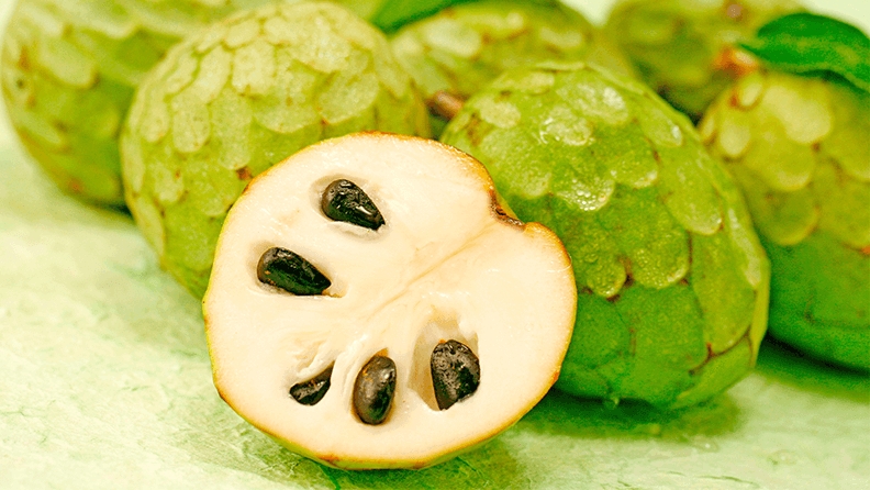 CHIRIMOYA