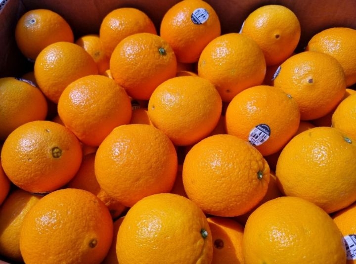 NAVEL ORANGE 