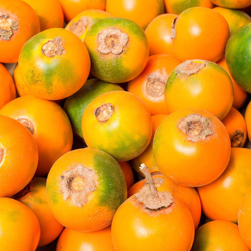 LULO (NARANJILLA)