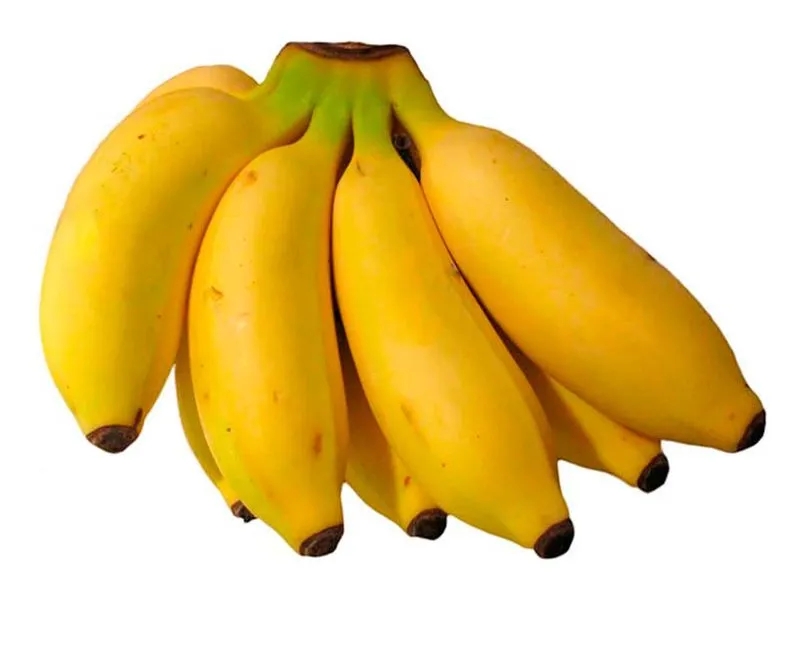 BANANO MANZANO (MANZANO BANANA)