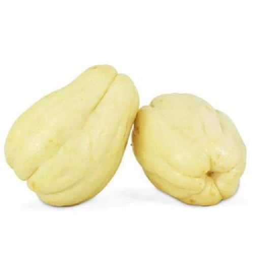 WHITE CHAYOTE