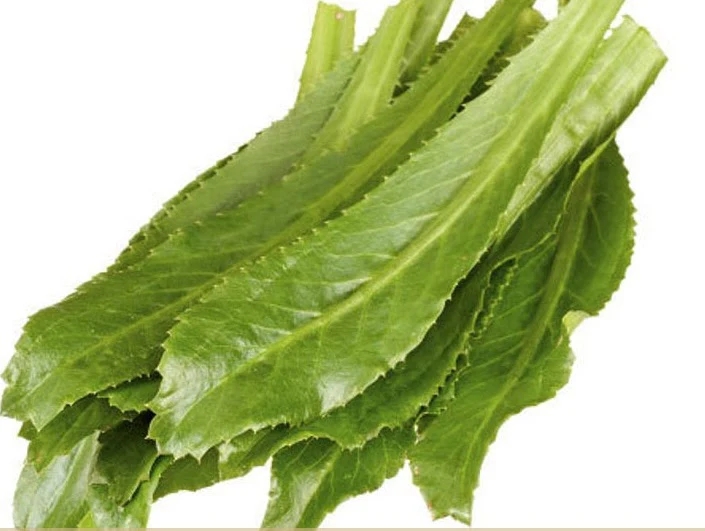 CULANTRO