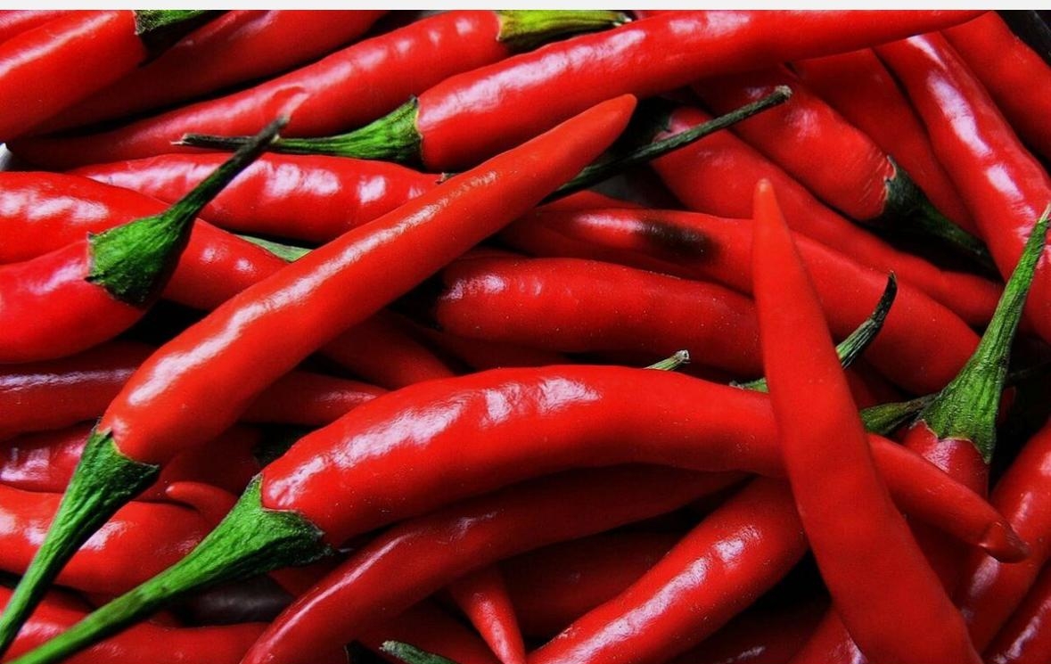 RED CHILI PEPPER