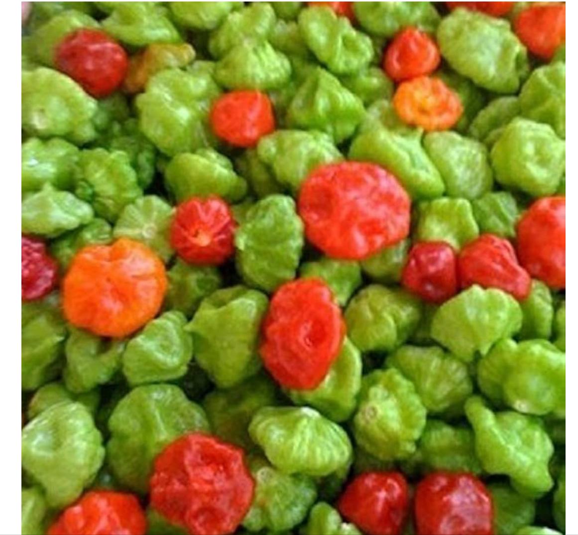 CACHUCHA PEPPER