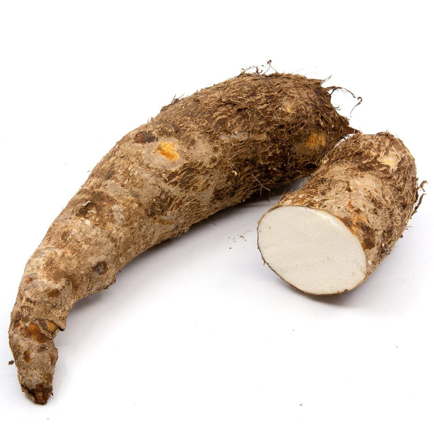 MALANGA BLANCA (WHITE MALANGA)