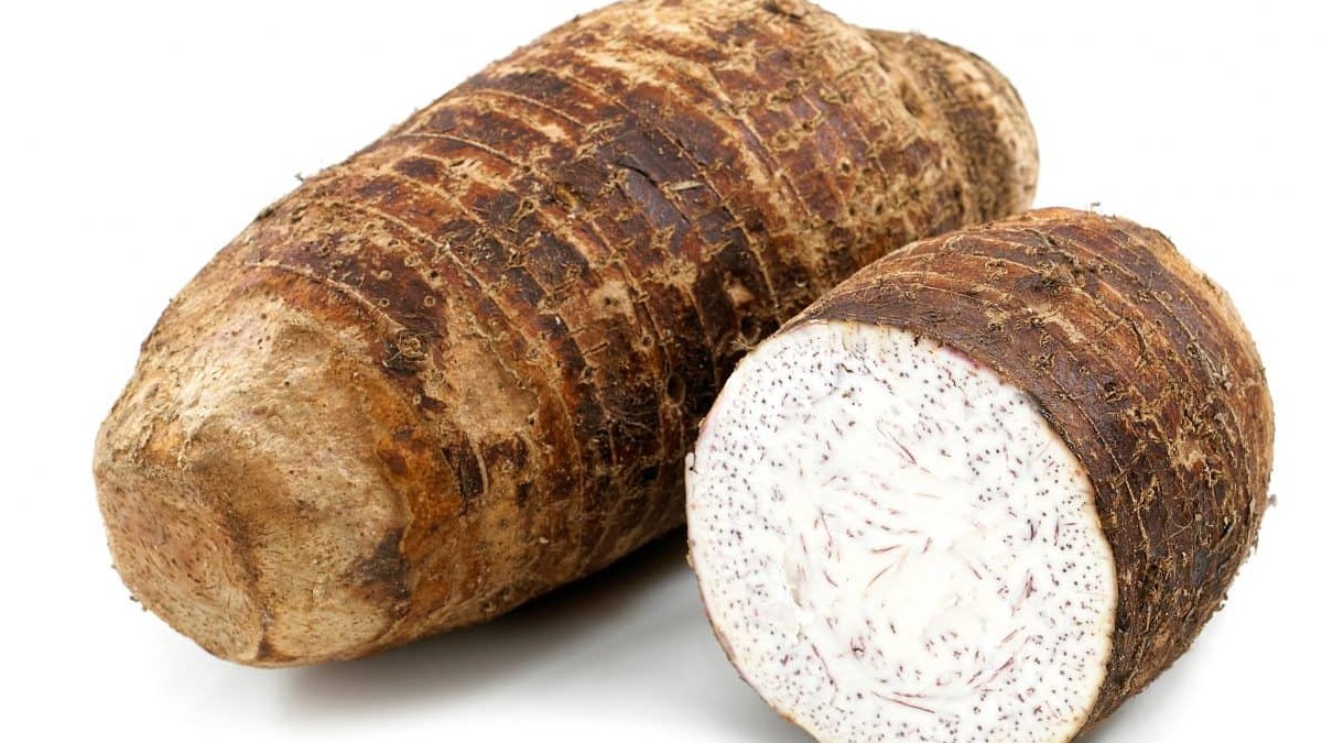 MALANGA COCO