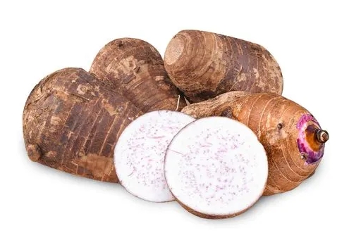 MALANGA COCO