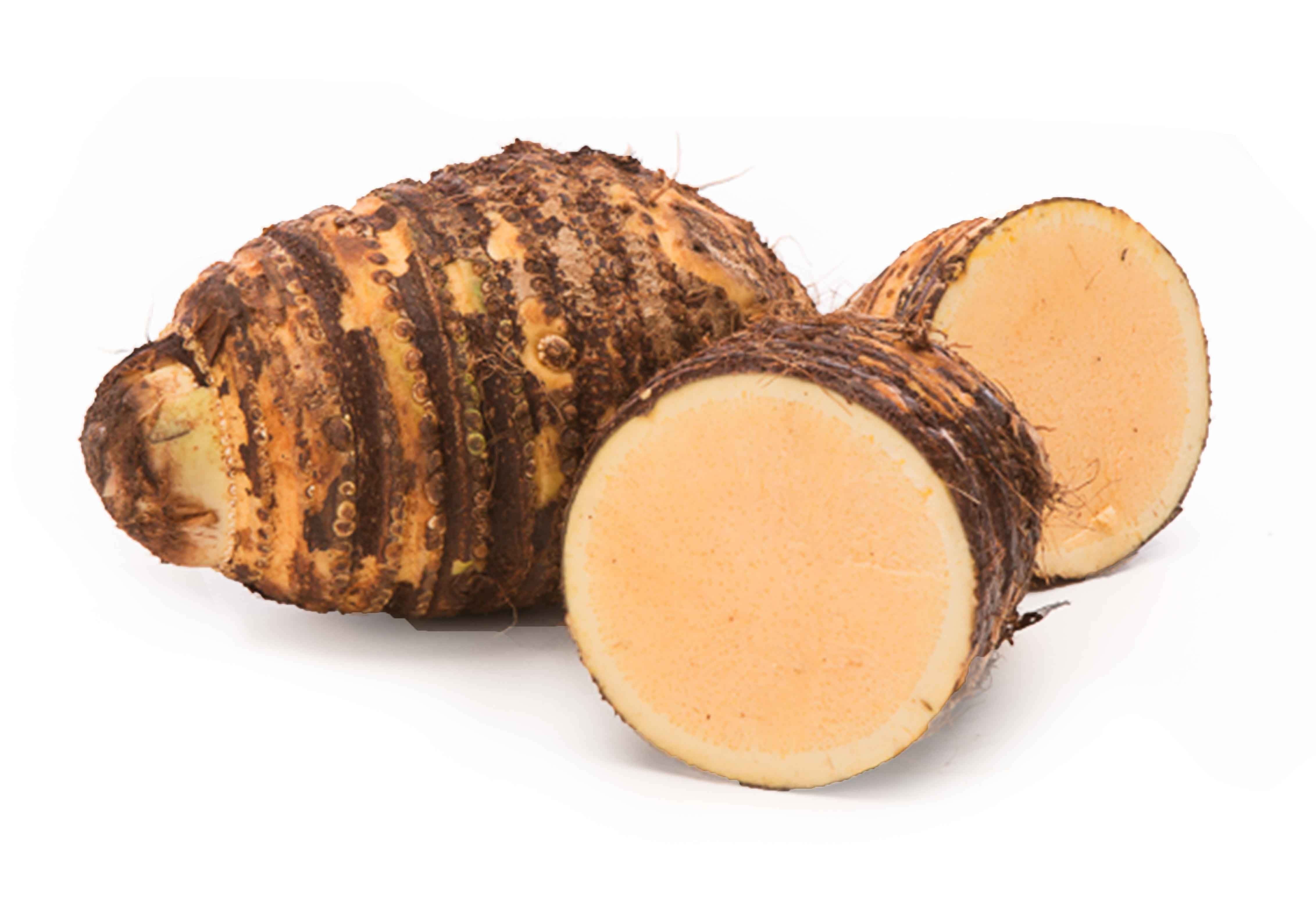 MALANGA AMARILLA (YELLOW MALANGA)