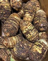 MALANGA AMARILLA (YELLOW MALANGA)