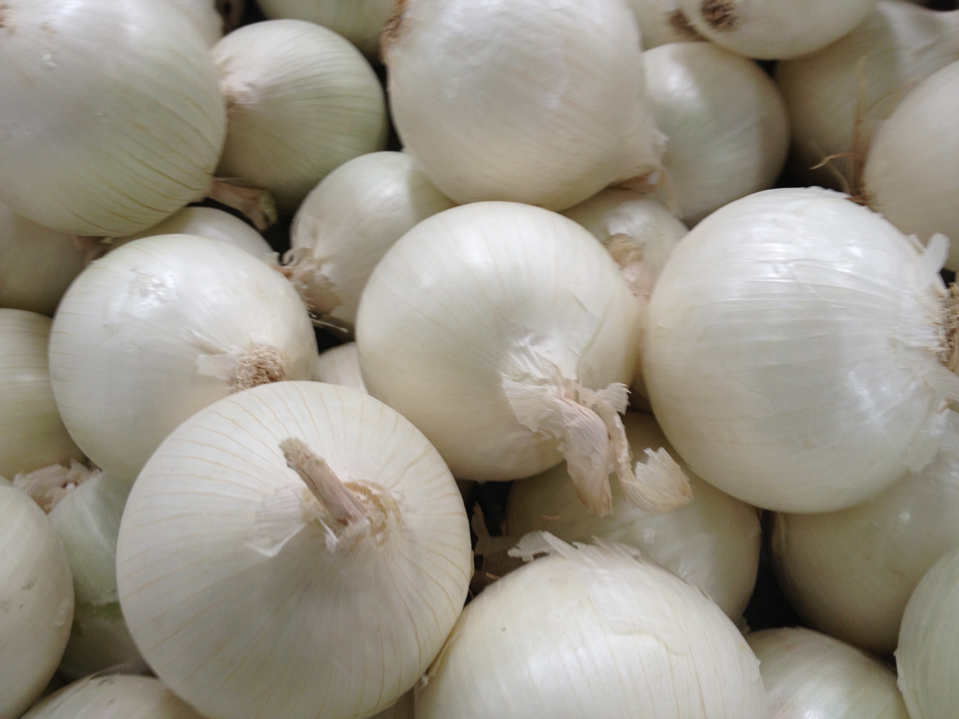 WHITE ONION