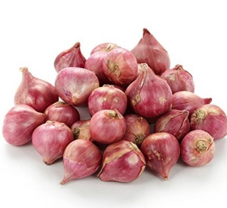 SHALLOT
