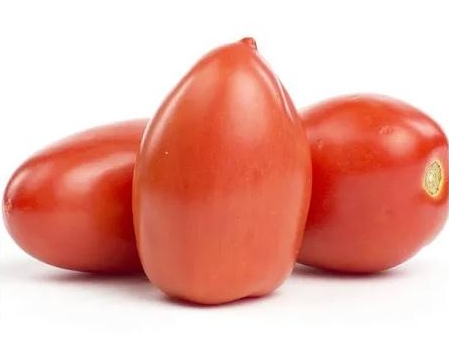 PLUM TOMATO (ROMA TOMATO)