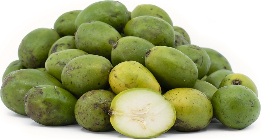 JUNE PLUM 